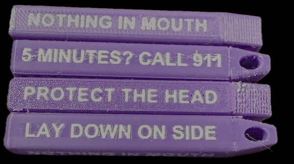 SafeSteps T Keychain